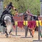 Große Ritter Show Dieburg 2023 - II