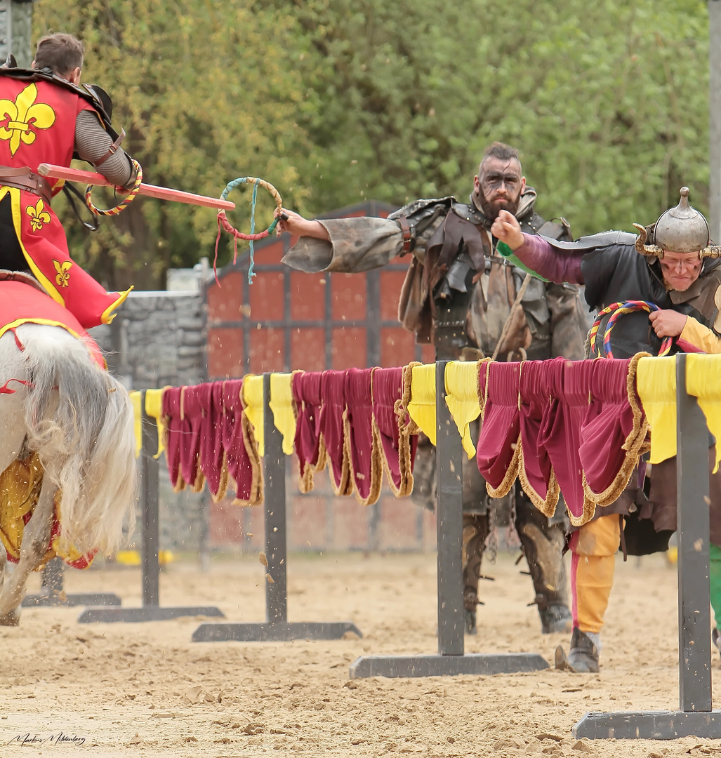 Große Ritter Show Dieburg 2023 - II