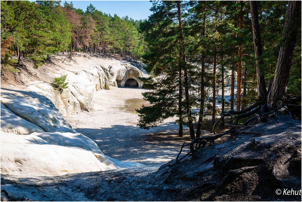 Große Sandsteinhöhlen Regenstein