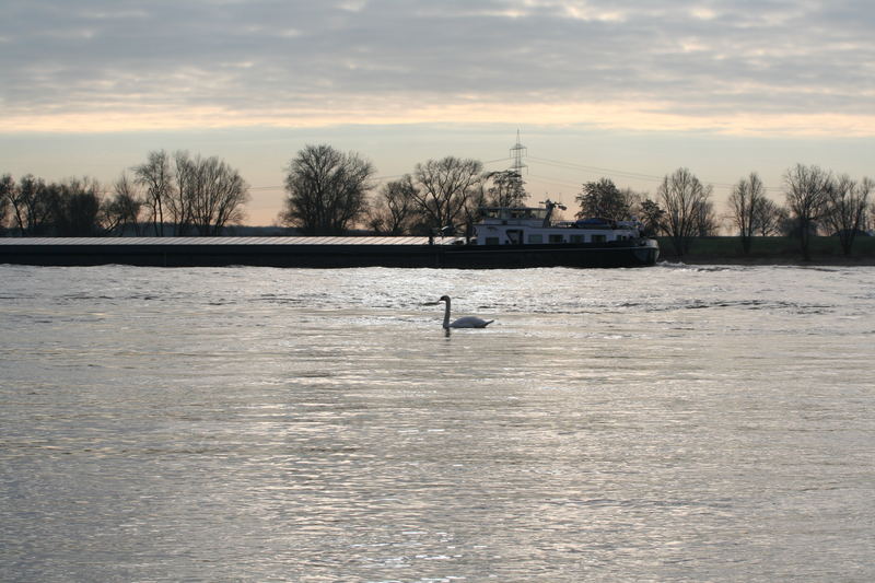 Grosse Schiffe, kleine Boote