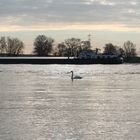 Grosse Schiffe, kleine Boote