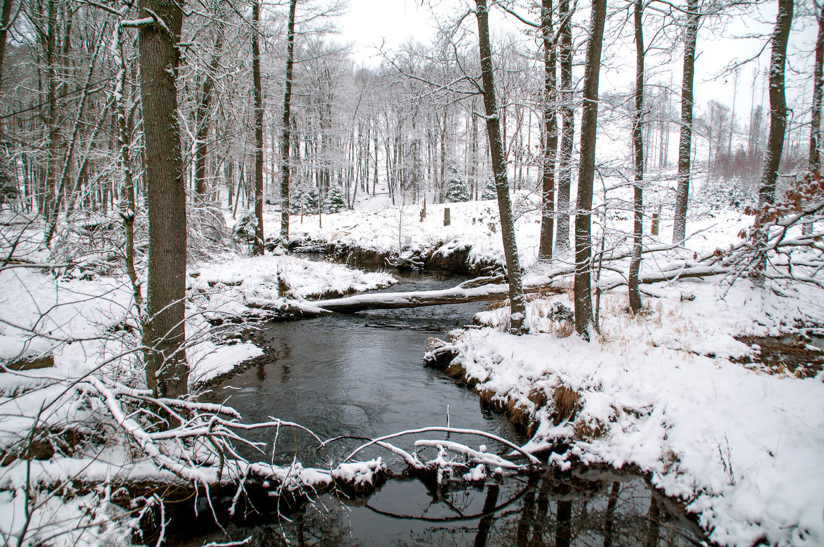 Große Schmalenau