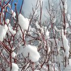 Große Schneeflocken...