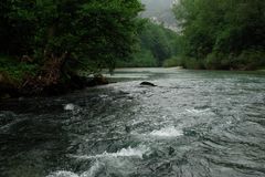 grosse Tarn-Schlucht, XX.