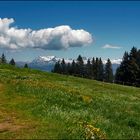 Grosse Träume einer grossen Wolke ;-)