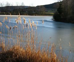 Große Uferlandschaft