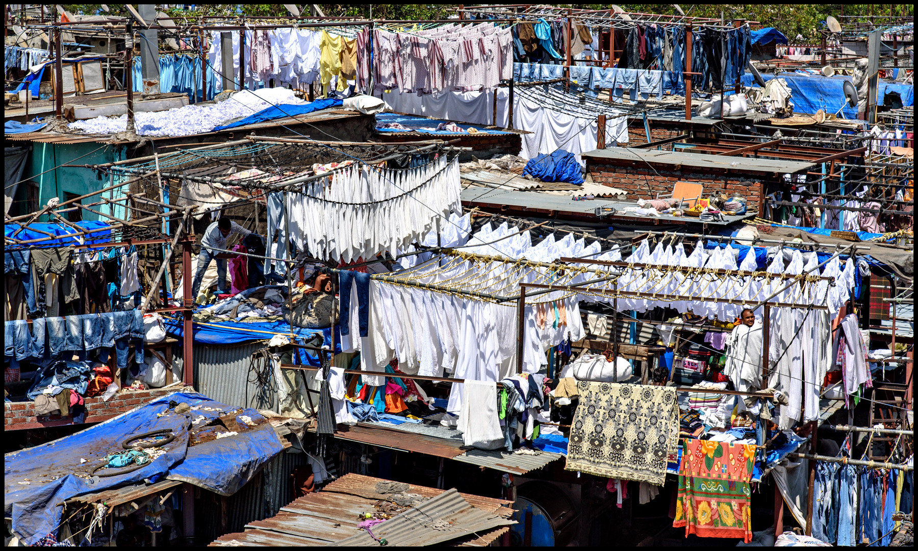 Große Wäsche Foto & Bild | indien, bombay, mumbai Bilder auf fotocommunity
