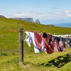 Große Wäsche auf der Seiser Alm