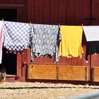 "Große Wäsche" auf einem Bauernhof in der Bukowina