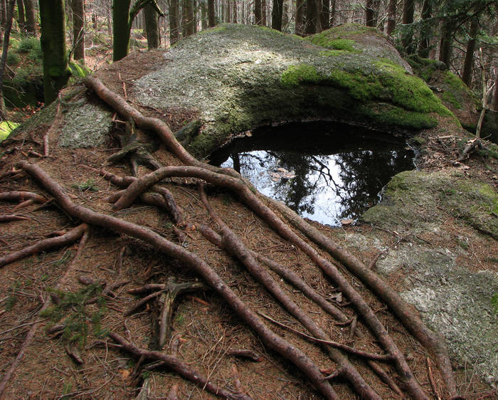 große Wasserschale