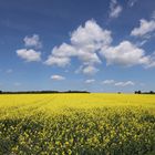 "Große Wattebäusche am Himmel"