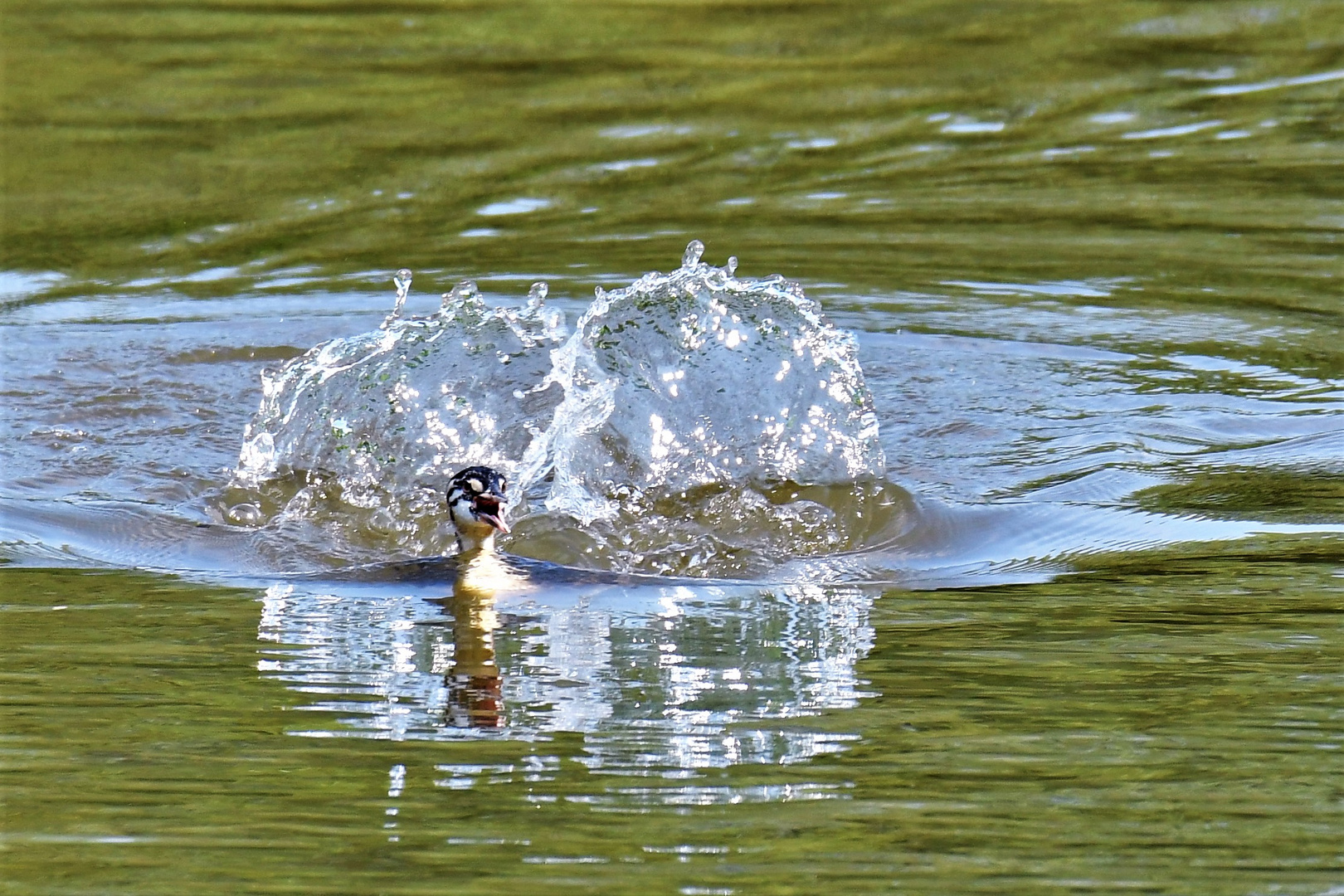 Große Welle