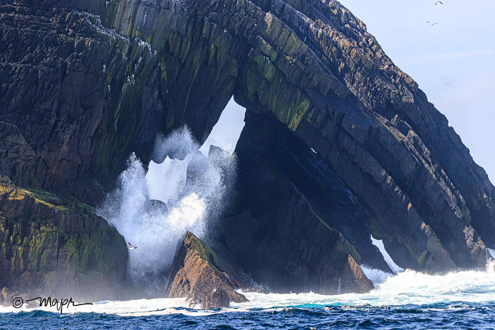 Große Welle, kleiner Vogel