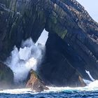 Große Welle, kleiner Vogel