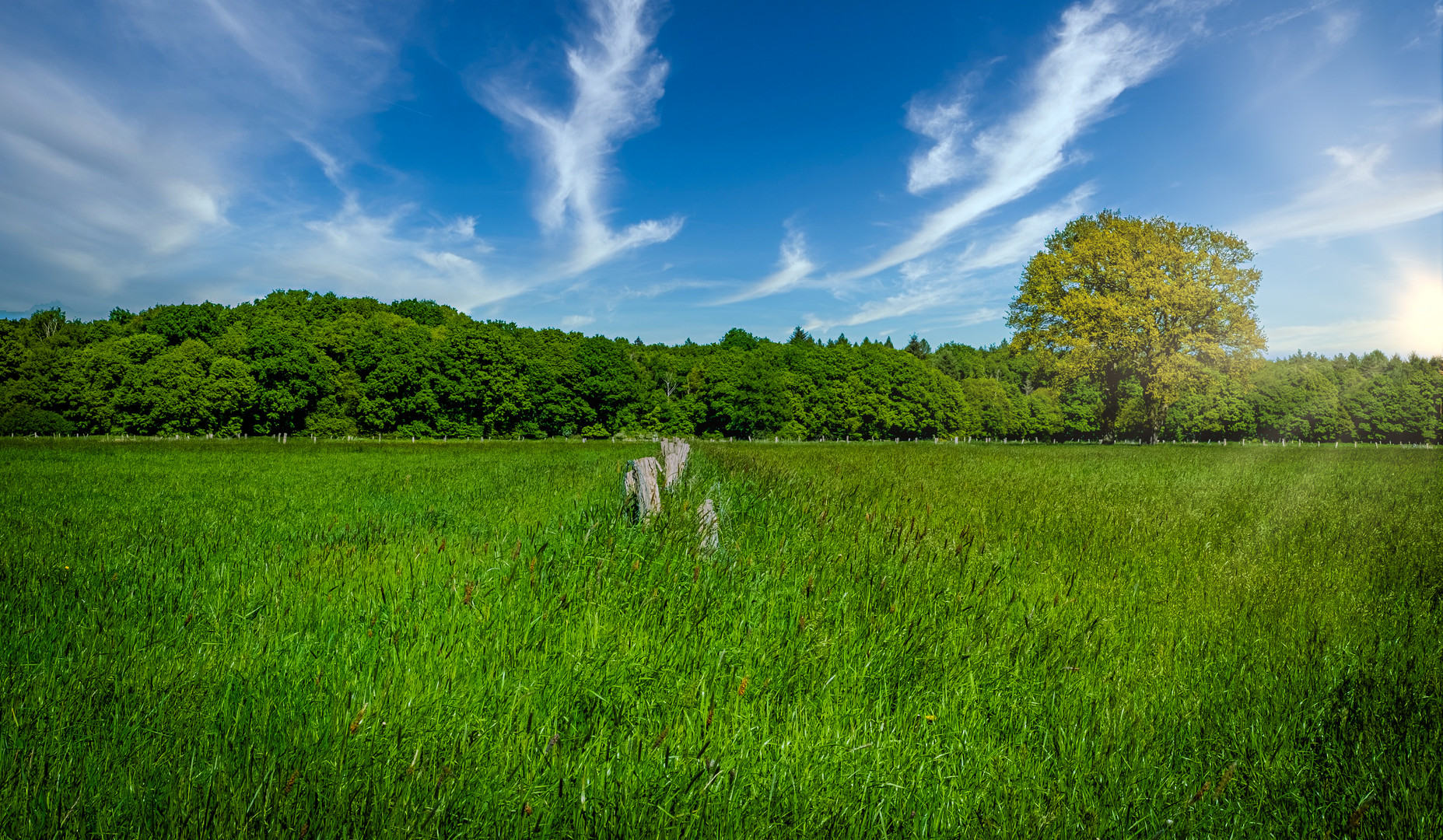 Große Wiese Foto &amp; Bild | landschaft, Äcker, felder &amp; wiesen, bäume ...