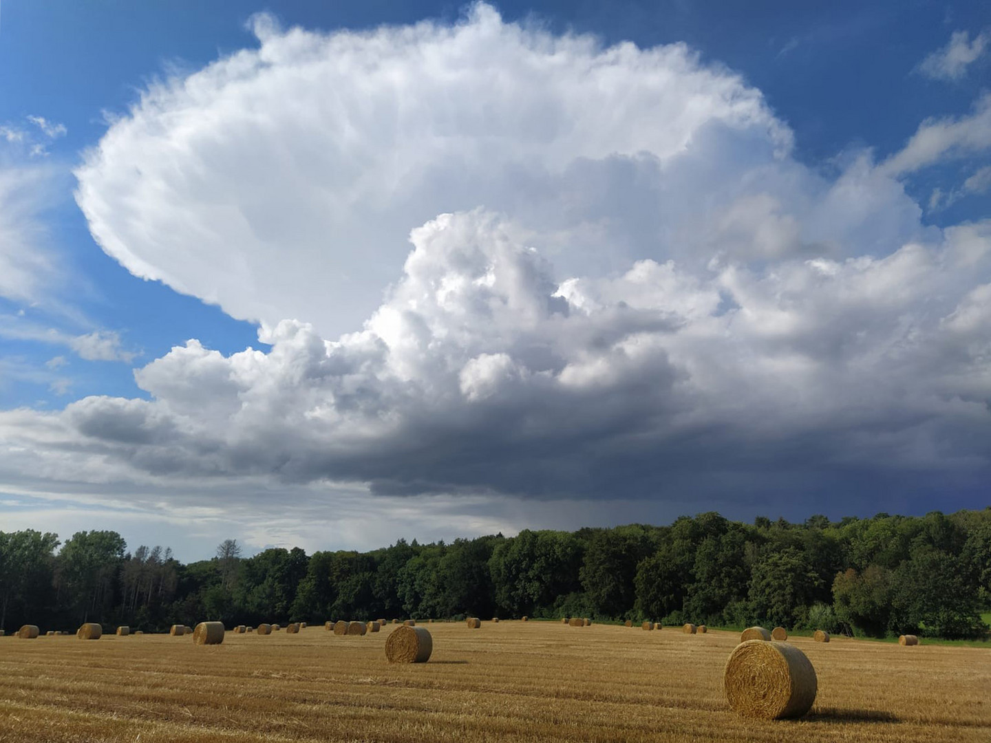 Große Wolke über dem Feld