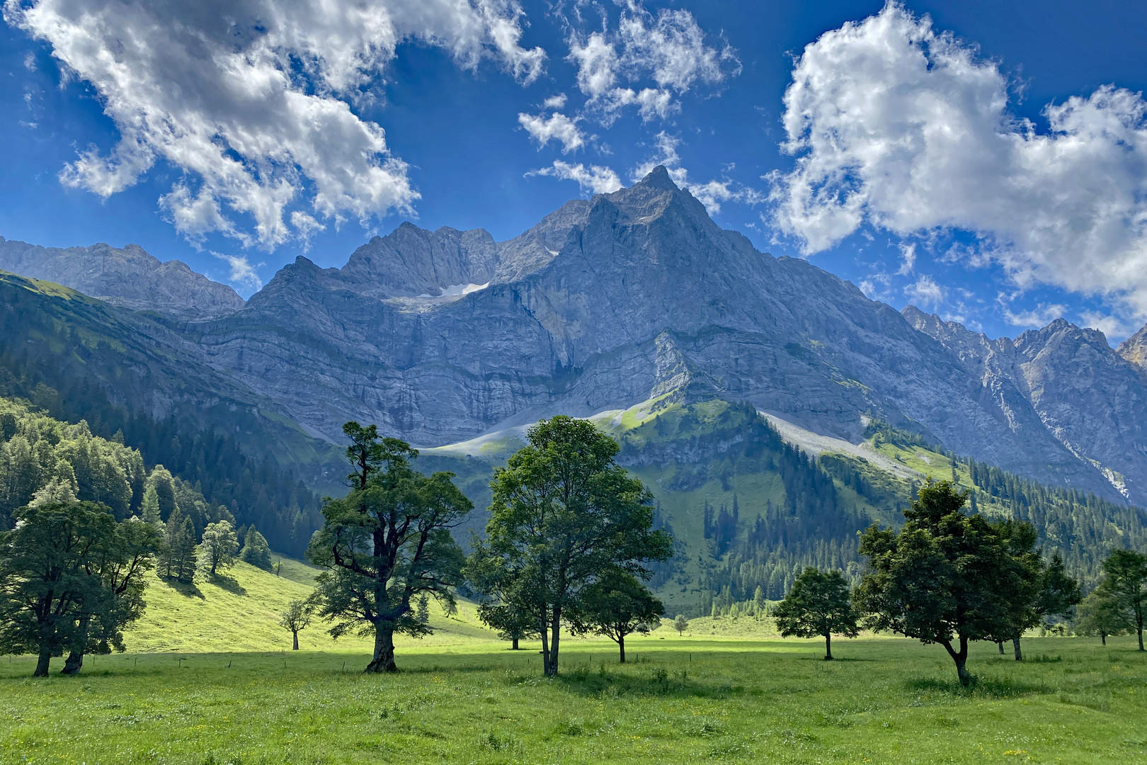 Großer Ahornboden