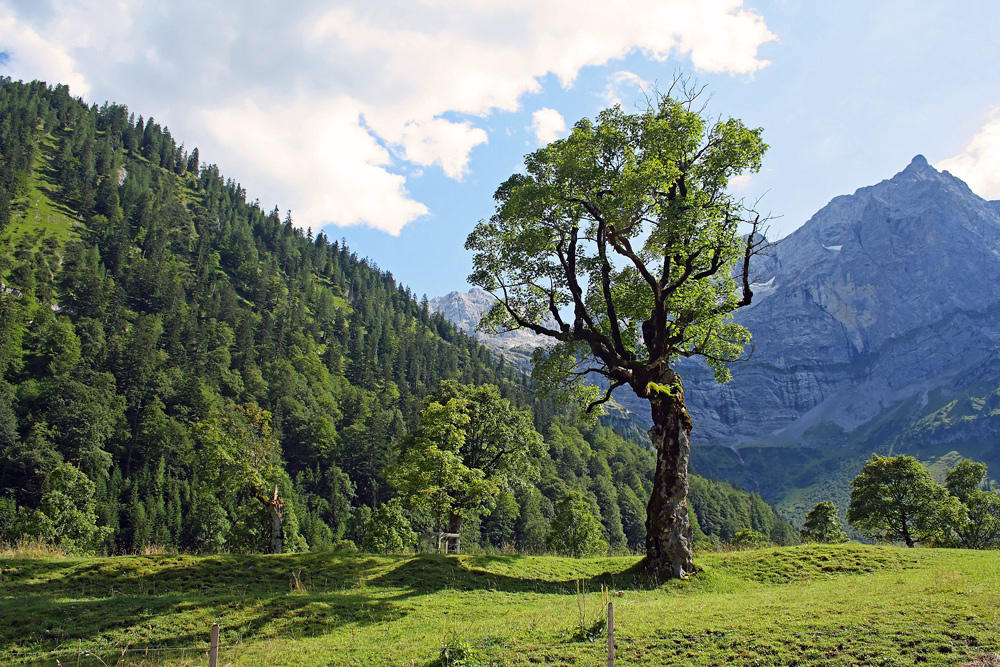 Großer Ahornboden (2)