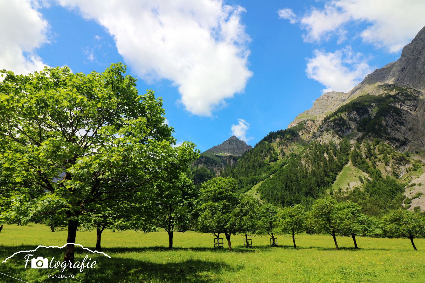 Großer Ahornboden