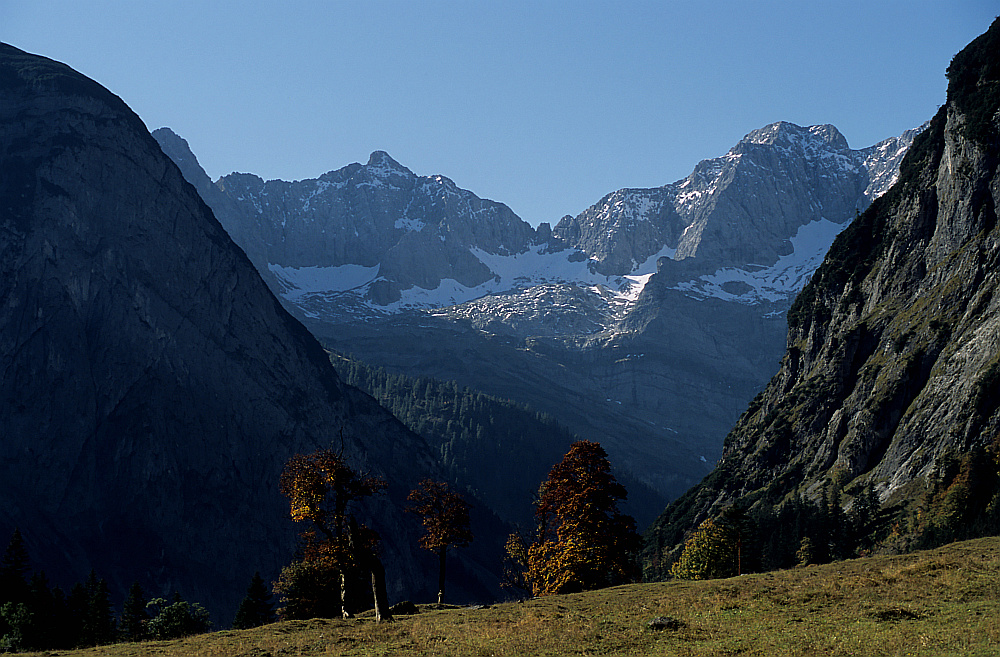 Großer Ahornboden