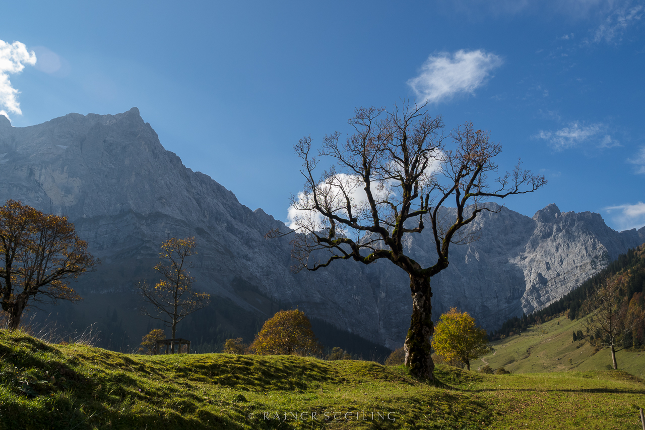 Großer Ahornboden