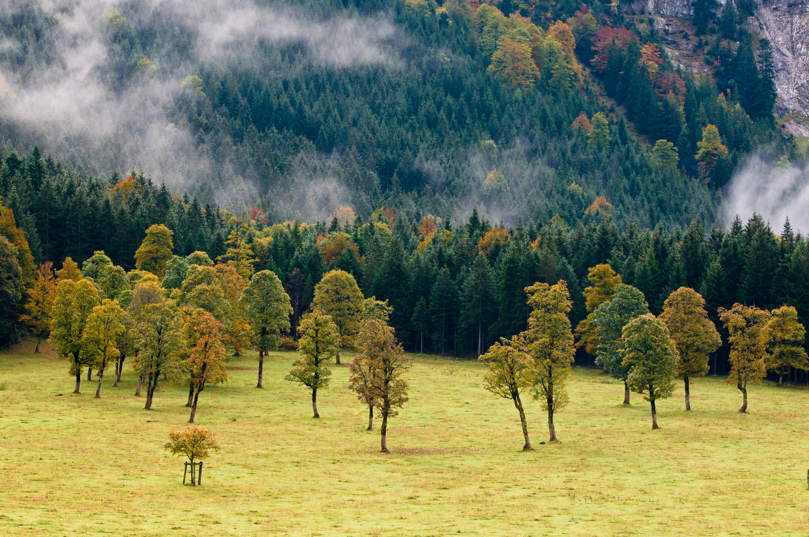 Großer Ahornboden 4