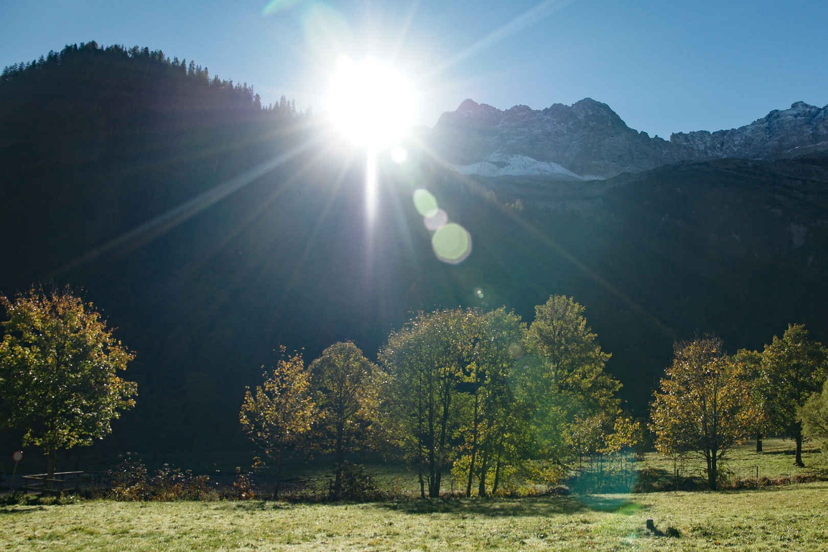 Großer Ahornboden