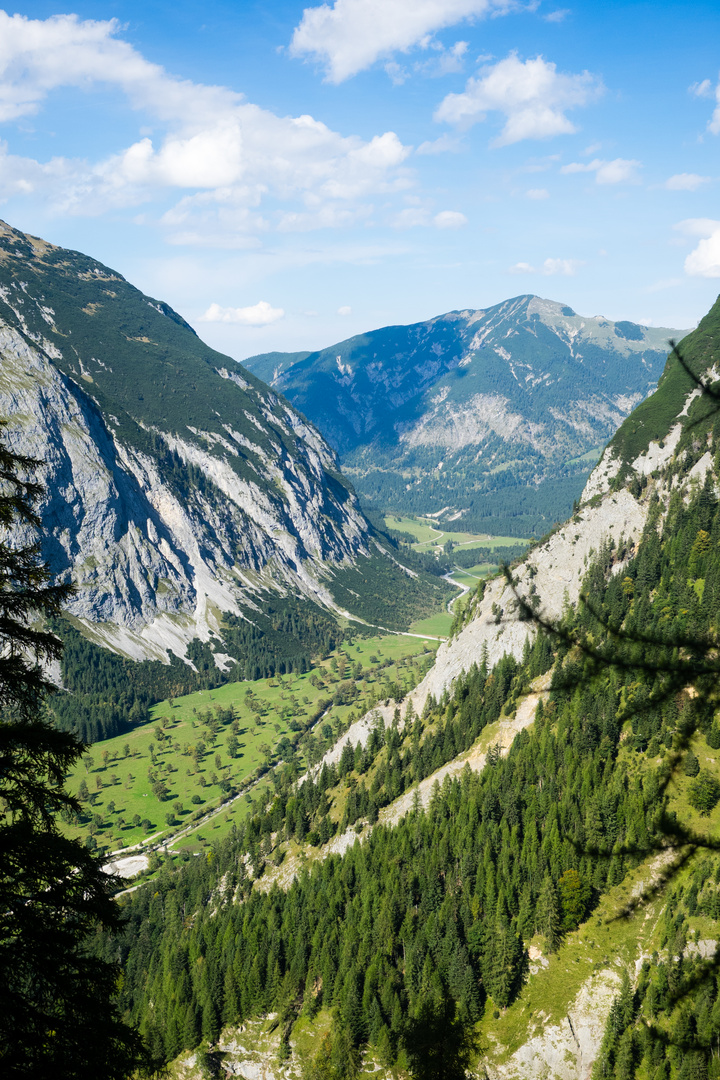 Großer Ahornboden