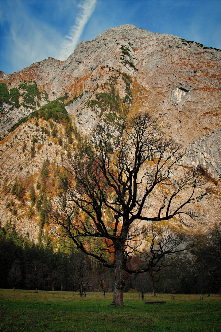 Großer Ahornboden