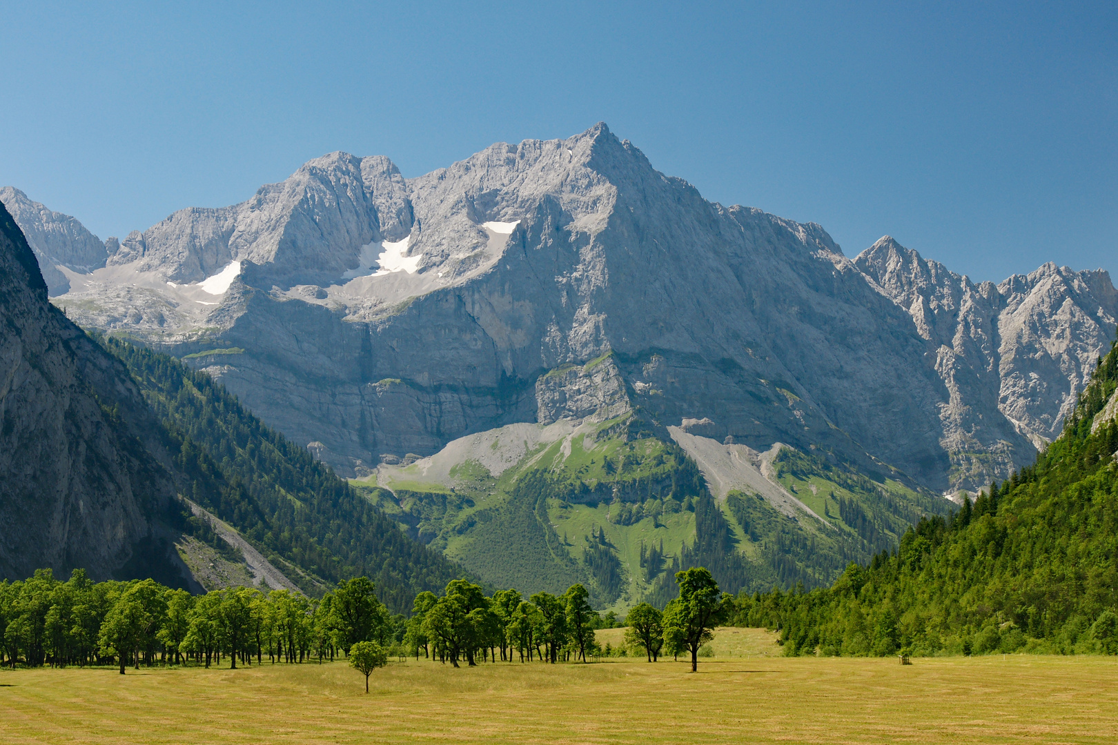 Großer Ahornboden