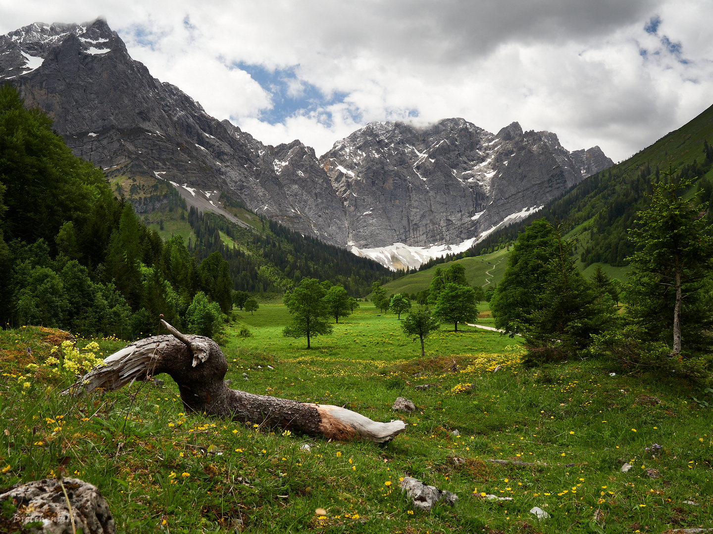 Großer Ahornboden