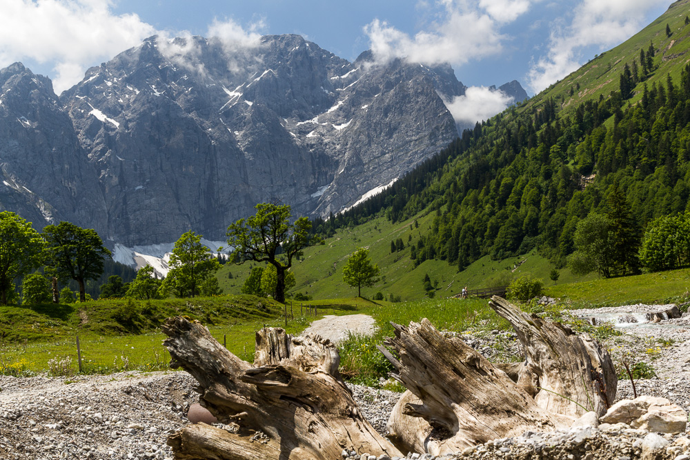 Großer Ahornboden