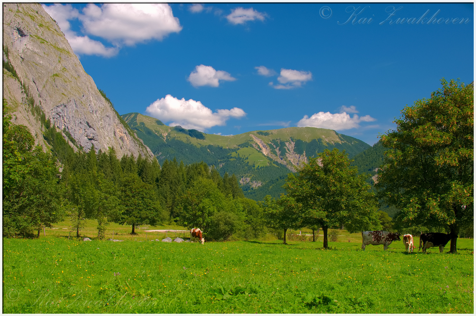 Großer Ahornboden