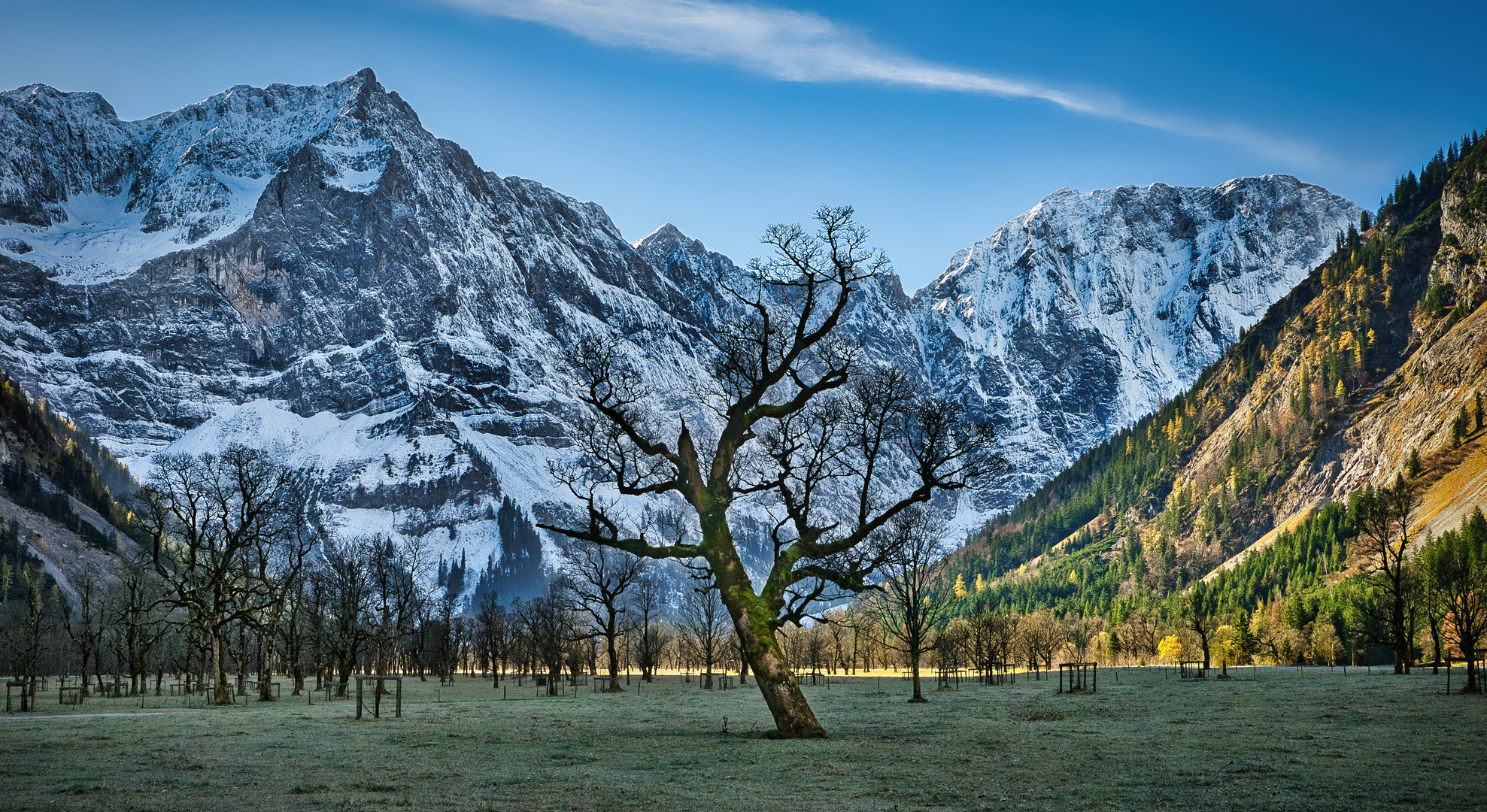 Großer Ahornboden