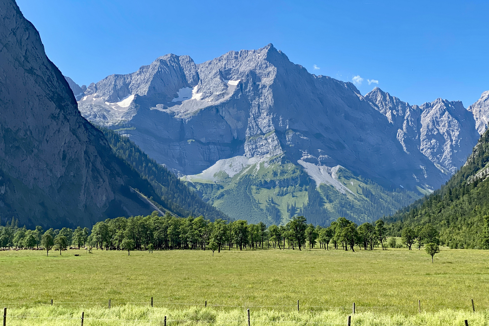 Großer Ahornboden