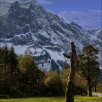 Großer Ahornboden - Auf dem Weg zur Eng...