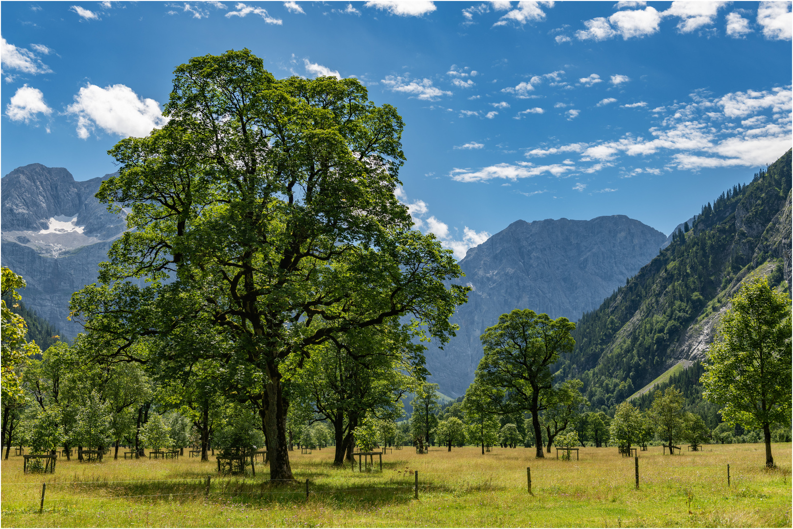 "Großer Ahornboden" - Bayern, Anfang August 2023