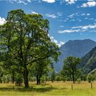 "Großer Ahornboden" - Bayern, Anfang August 2023