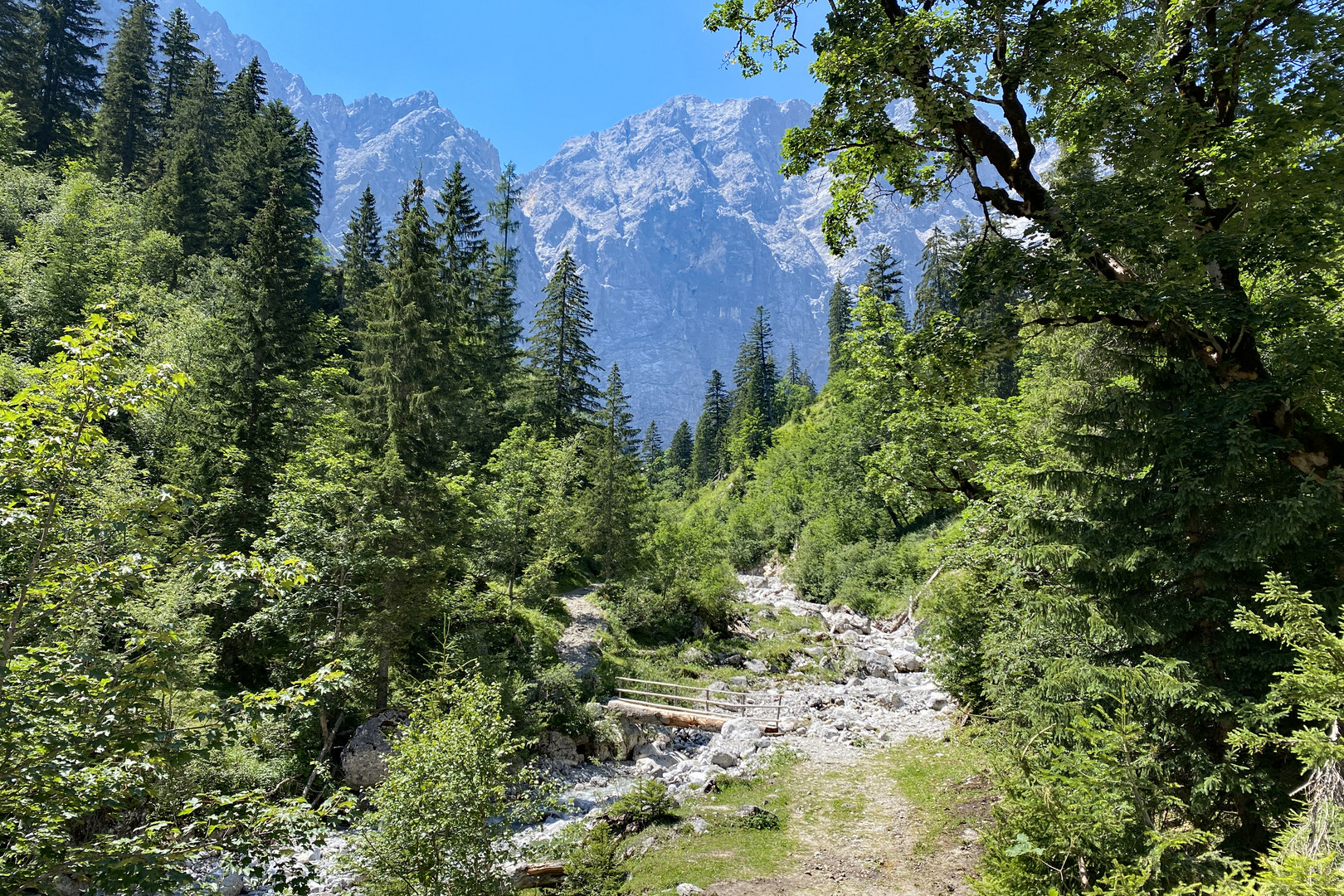 Großer Ahornboden