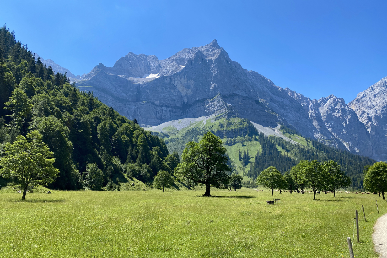 Großer Ahornboden