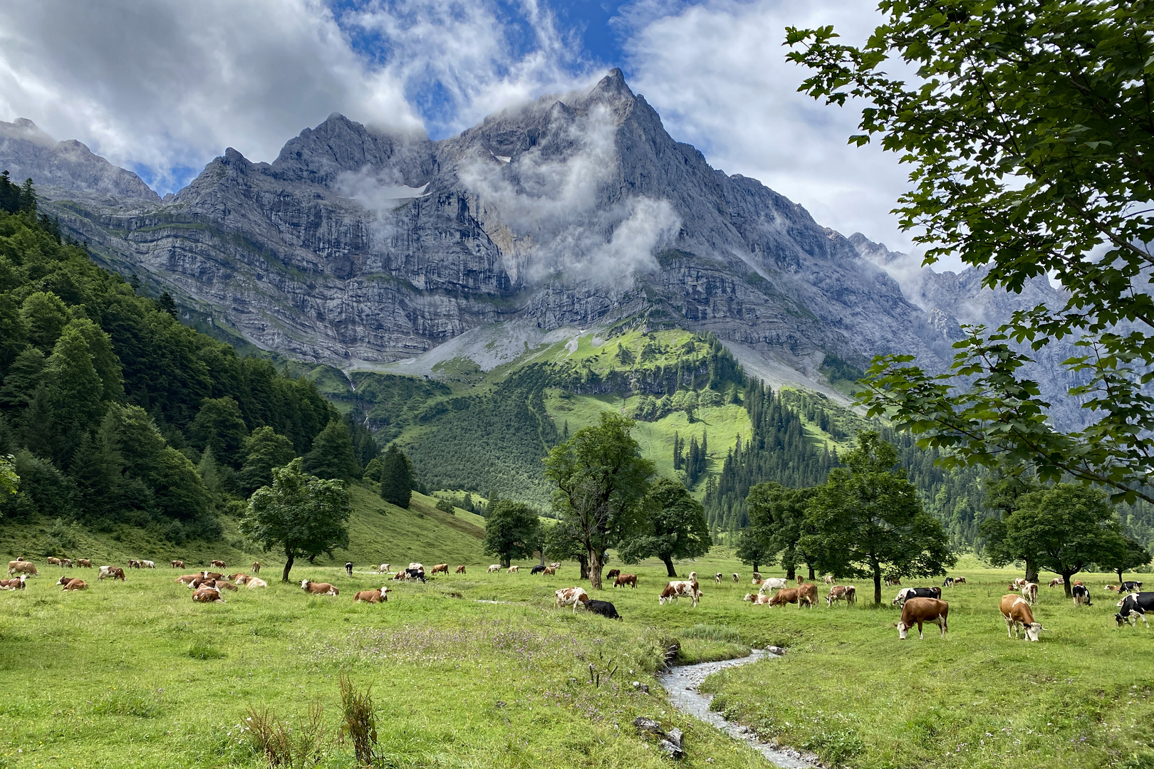 Großer Ahornboden