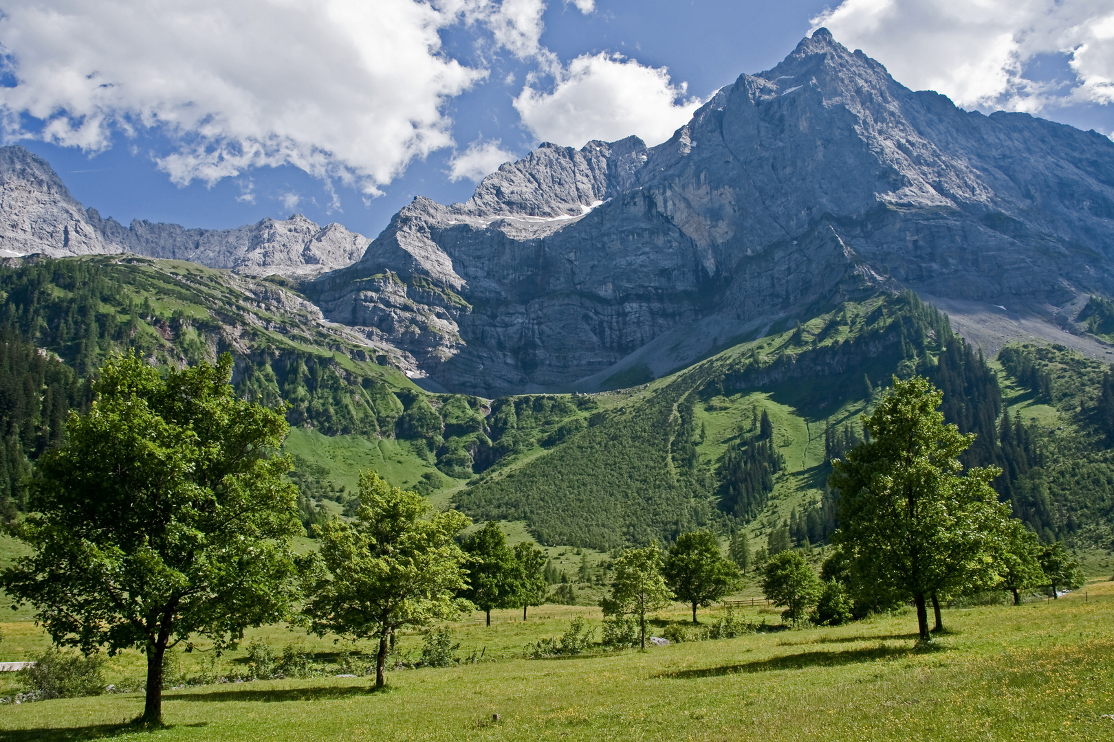 Großer Ahornboden