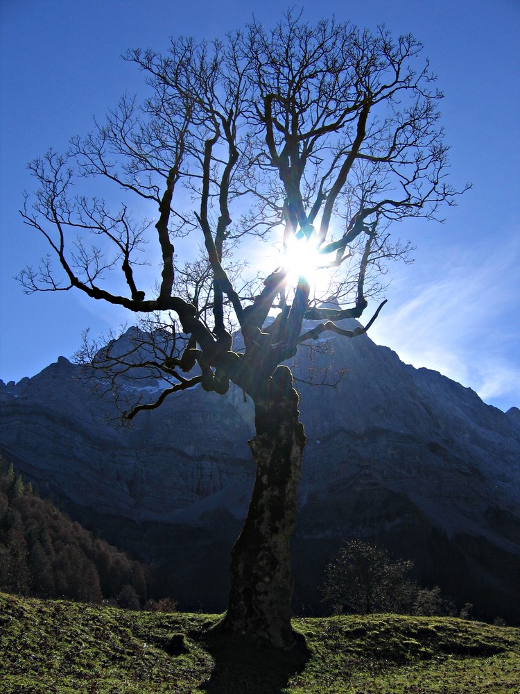 Großer Ahornboden im Herbst