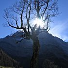 Großer Ahornboden im Herbst