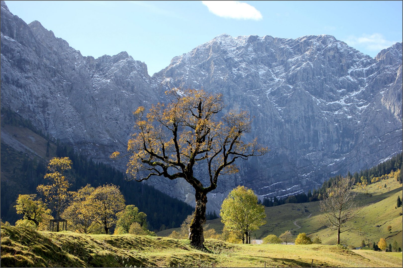 Großer Ahornboden im Herbst.