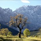 Großer Ahornboden im Herbst.