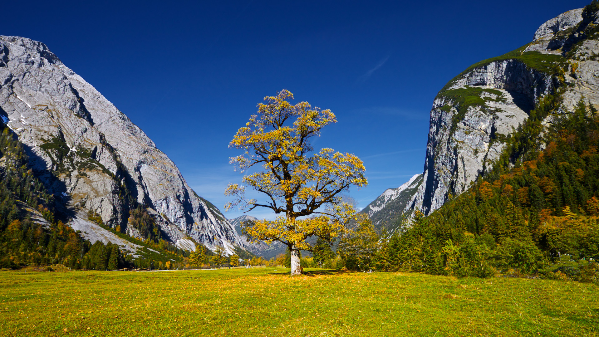 Großer Ahornboden im Herbst