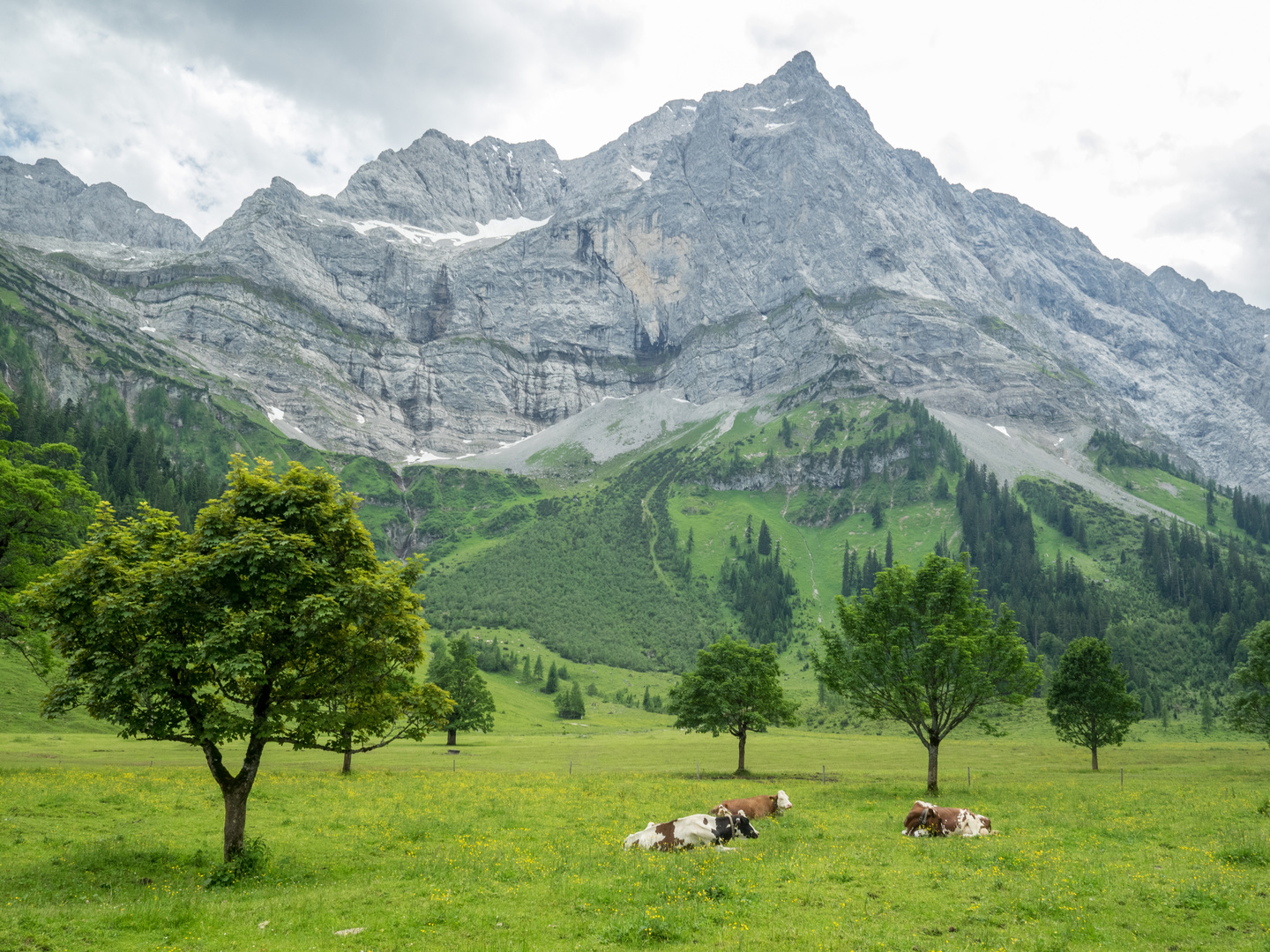 Großer Ahornboden im Karwendel