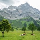 Großer Ahornboden im Karwendel