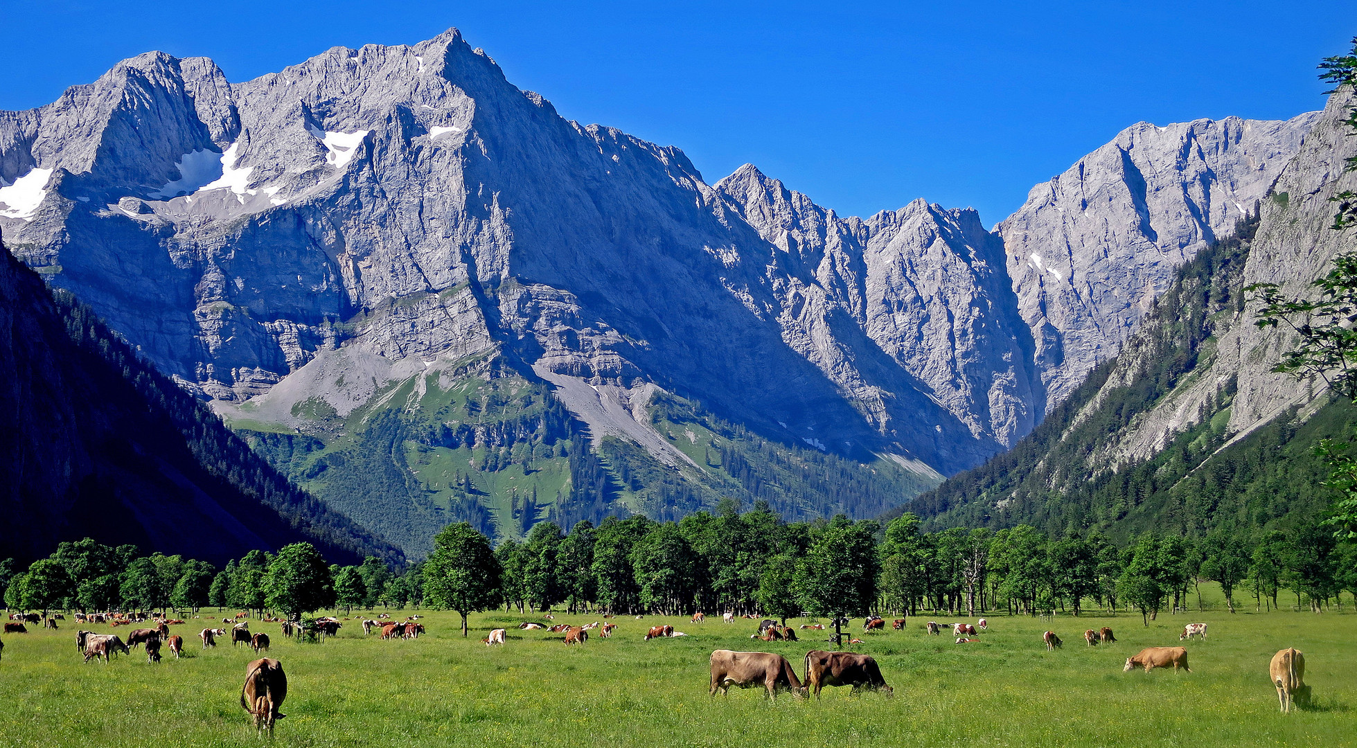 Großer Ahornboden im Karwendel